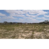 Área disponível para arrendamento para Usina Solar
